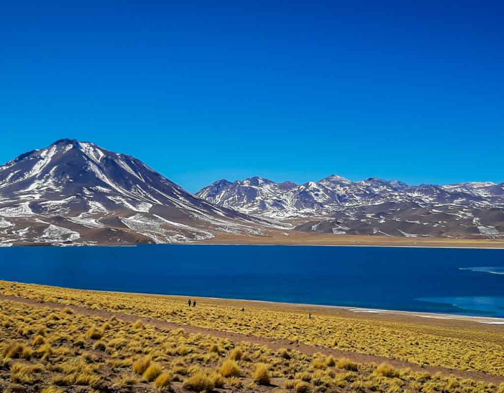 Lagunas Altiplanicas