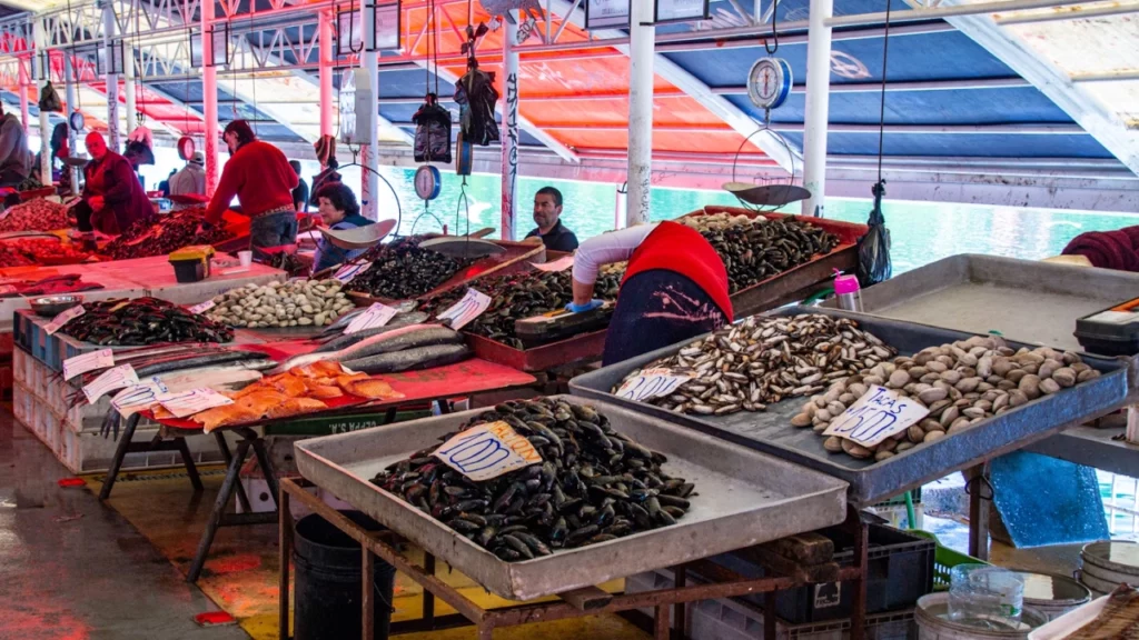 Mercado de frutos do mar no Chile, com uma variedade de mariscos, peixes e frutos do mar em exposição.